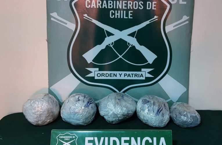 Extranjeros ingresaban mas de 4 kilos de droga por Azapa